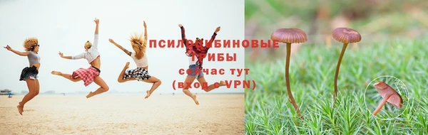 кокс Нефтегорск